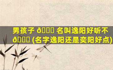 男孩子 🐘 名叫逸阳好听不 🐝 (名字逸阳还是奕阳好点)